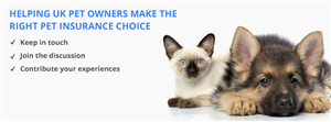Facebook Design by pb for Pet Insurance Surveys | Design: #2985614