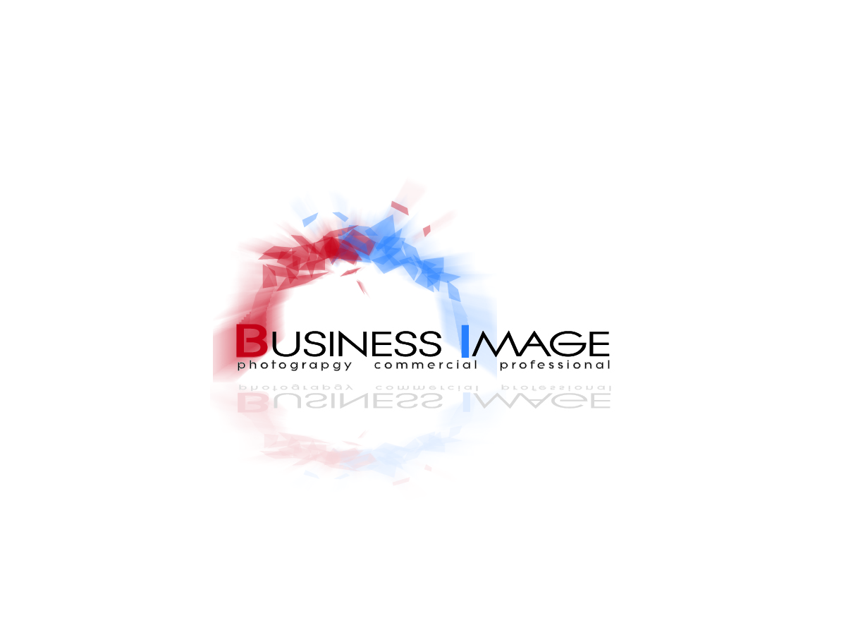 Logo Design by CoZign for Business Image Services Ltd | Design #722374