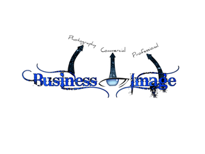 Diseño de Logo por Stefan para Business Image Services Ltd | Diseño #717061