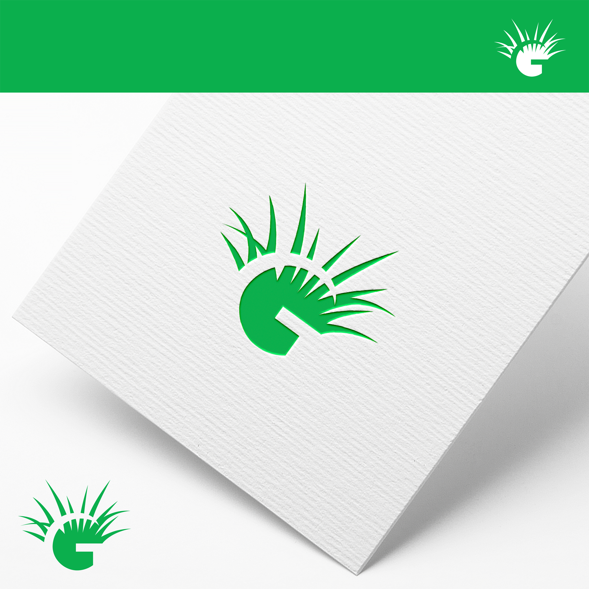 Logo Design by tavi for this project | Design #22860031