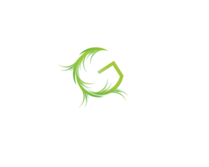 Design de Logo par A S design @ pour ce projet | Design : #22869848