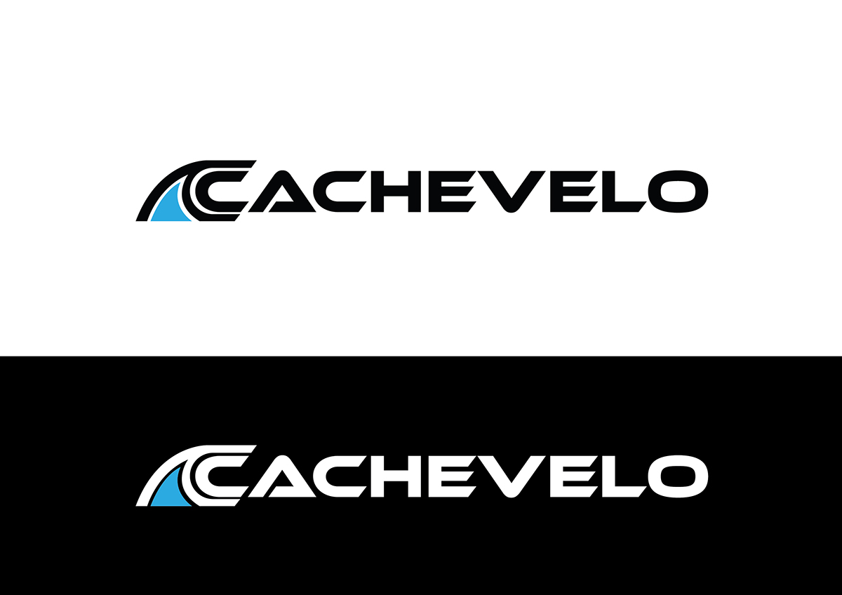 Logo-Design von Aqeel Momin für dieses Projekt | Design #22878724