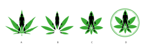 Not sure, the name of my business is CBD oil and beyond. Need a catchy phrase. | Logo Design by Al Pech