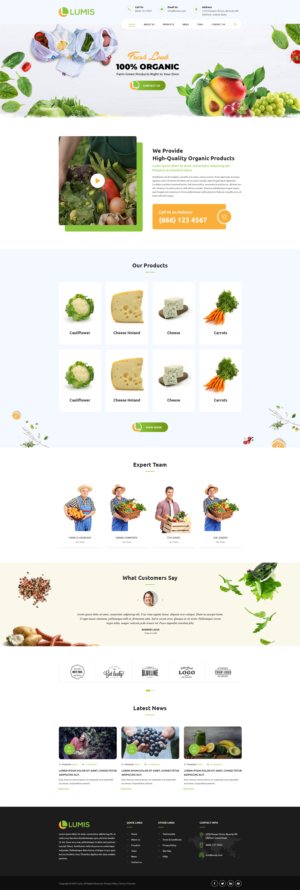 Wordpress Template for Food Retail Shop | WordPress-Design von pentaxial