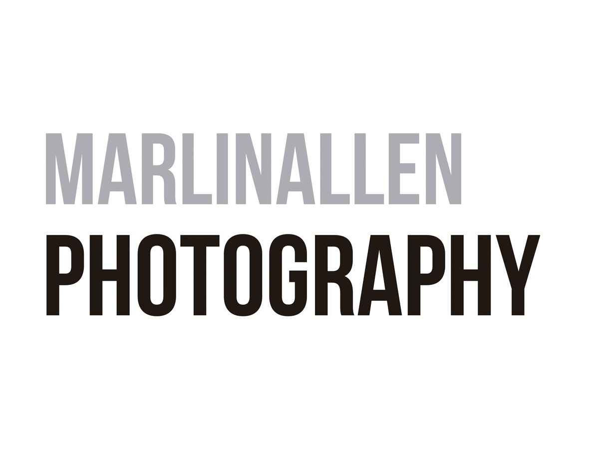 Logo Design by afrika roman for this project | Design #2993069