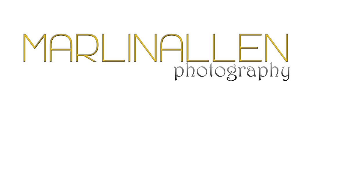 Logo Design by melisababajic for this project | Design #2979614