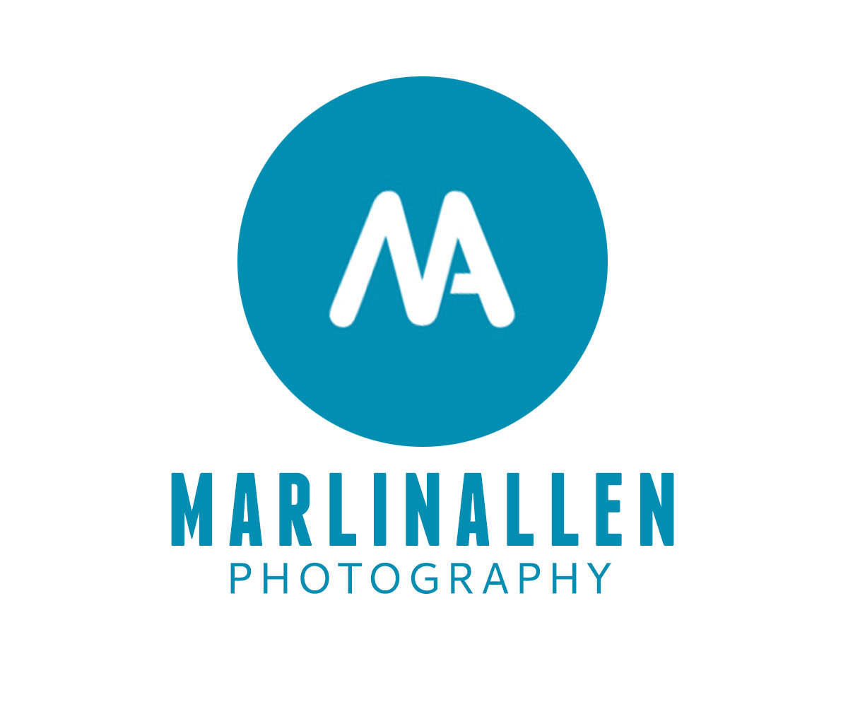 Logo Design by obeid2 for this project | Design #2994675
