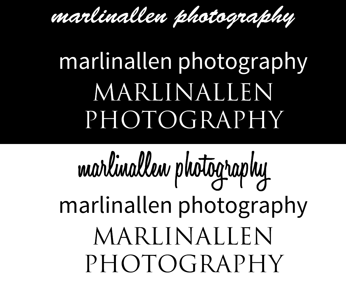 Logo Design by stlouisweb for this project | Design #3008505