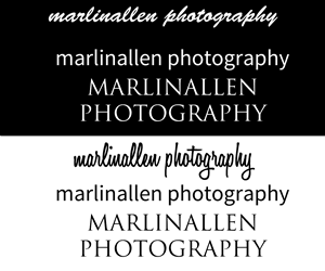 Logo Design by stlouisweb