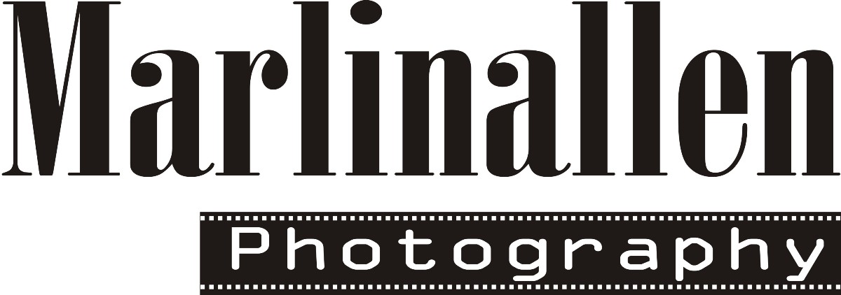 Logo Design by Washington Mwangi for this project | Design #3053035