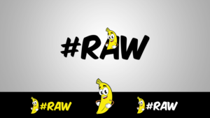 Logo Design by Arteezy