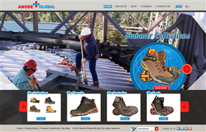 Wordpress Website for Safety Footwear Company