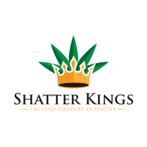 Logo Design by Einstin3