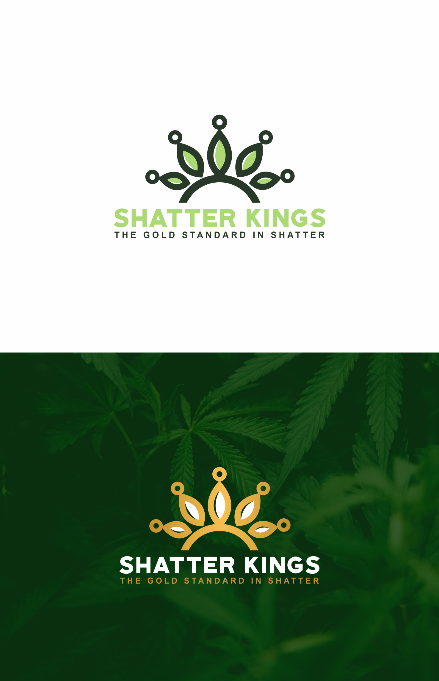 Diseño de Logo por mike edan para este proyecto | Diseño #22895498