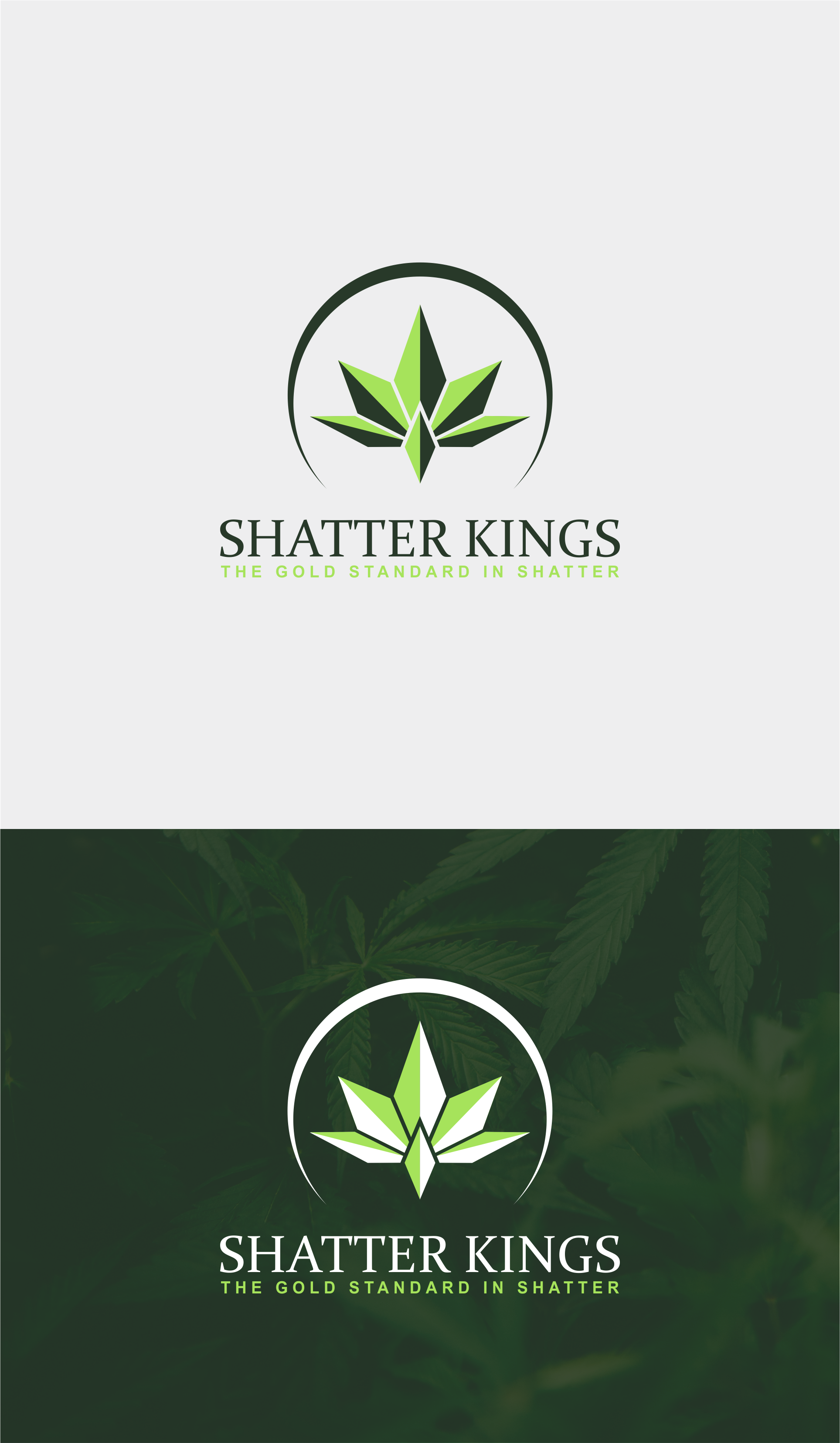 Diseño de Logo por mike edan para este proyecto | Diseño #22895805