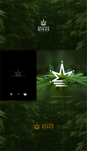 Logo Design by sush_labde 2