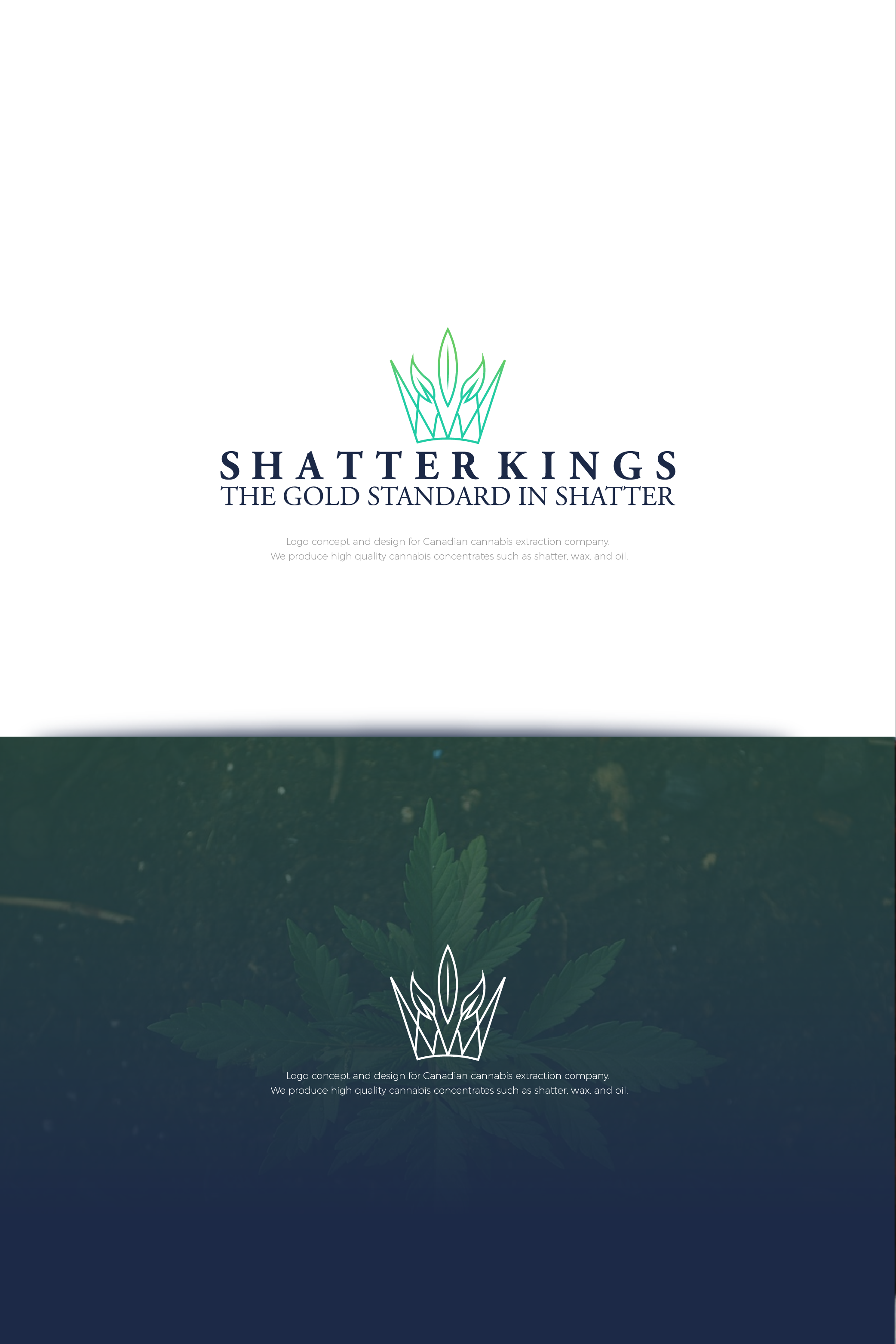 Diseño de Logo por Abdelrahman Ali para este proyecto | Diseño #22884219