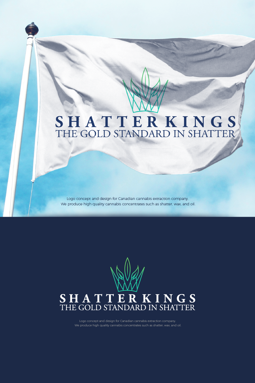 Logo Design by Abdelrahman Ali for this project | Design #22884221