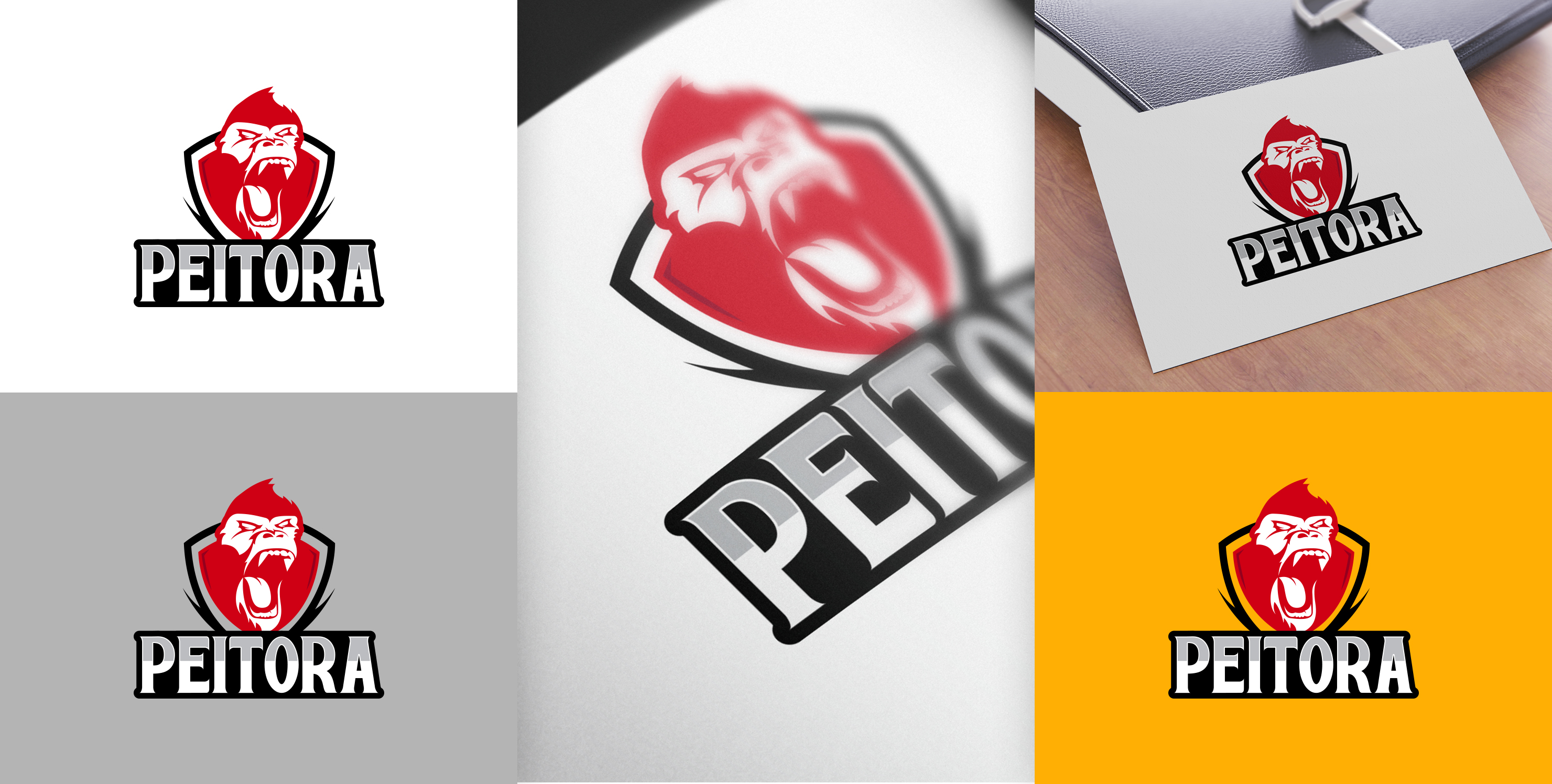 Logo Design by Logo Xtudio for this project | Design #22900942