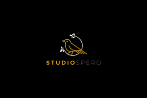 Logo Design by Farooq Zahid