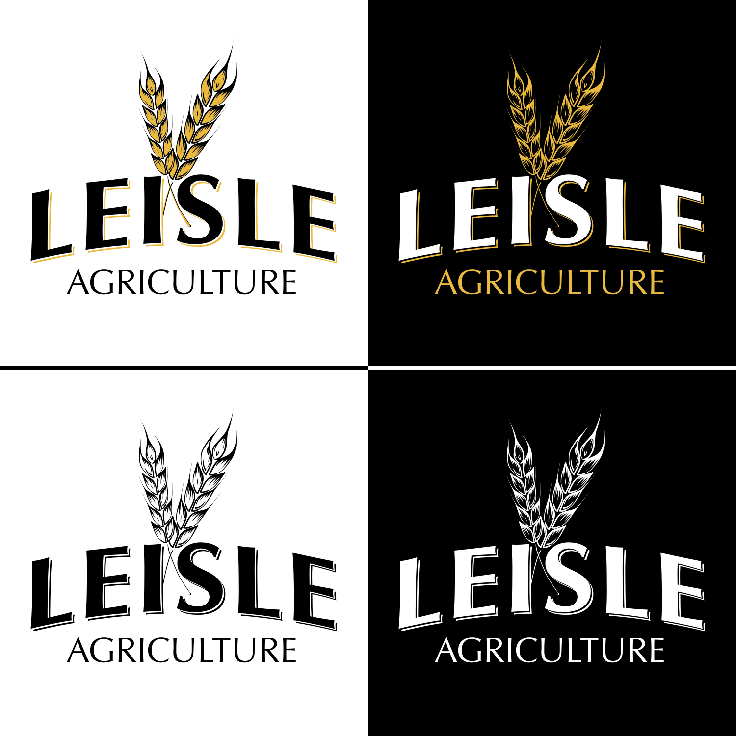 Diseño de Logo por SteveW para este proyecto | Diseño #22938508