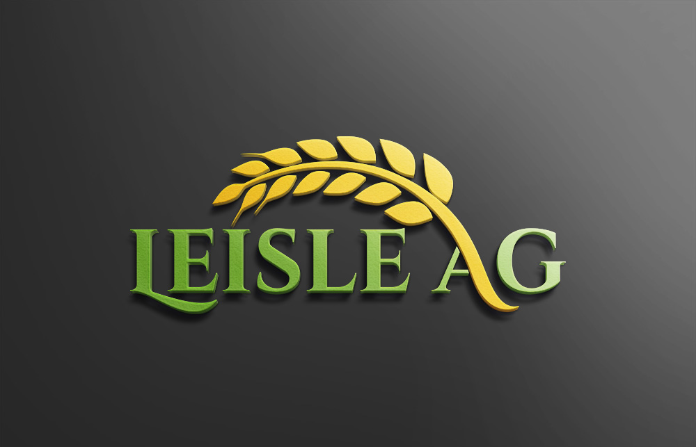 Logo Design by Design Solving for this project | Design #22903474