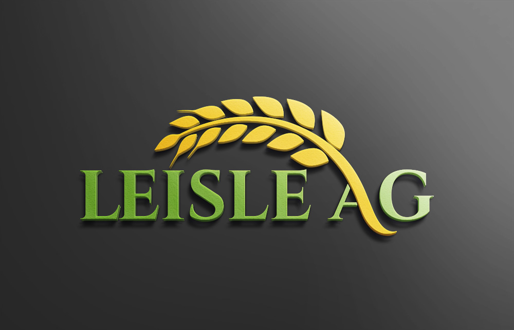 Logo Design by Design Solving for this project | Design #22904334