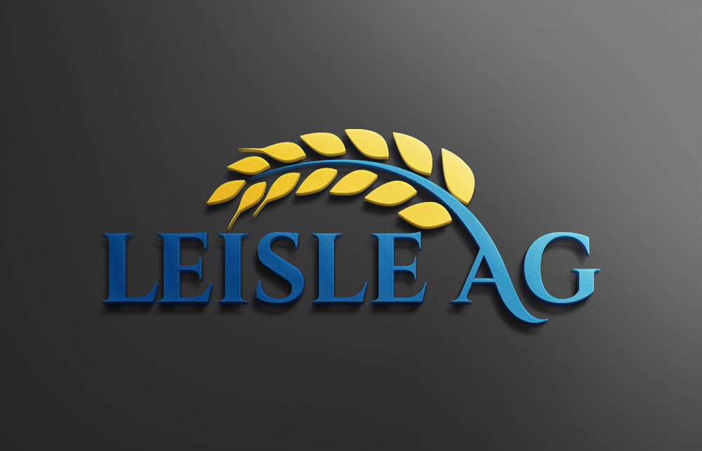 Logo Design by Design Solving for this project | Design #23039500