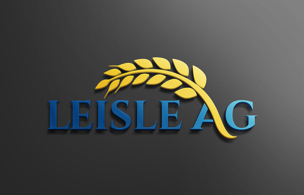 Logo Design by Design Solving for this project | Design #23045978