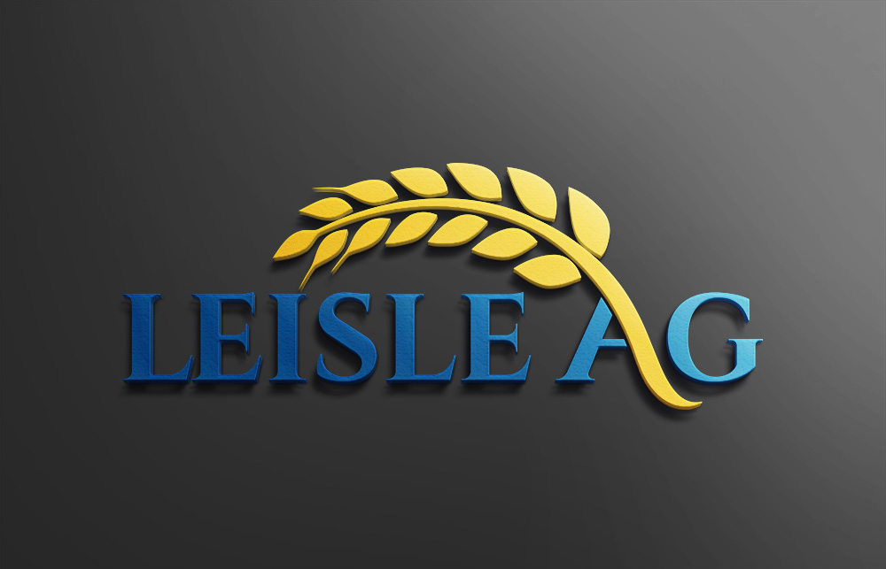 Logo Design by Design Solving for this project | Design #23046043