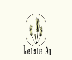 Logo Design by dejana500