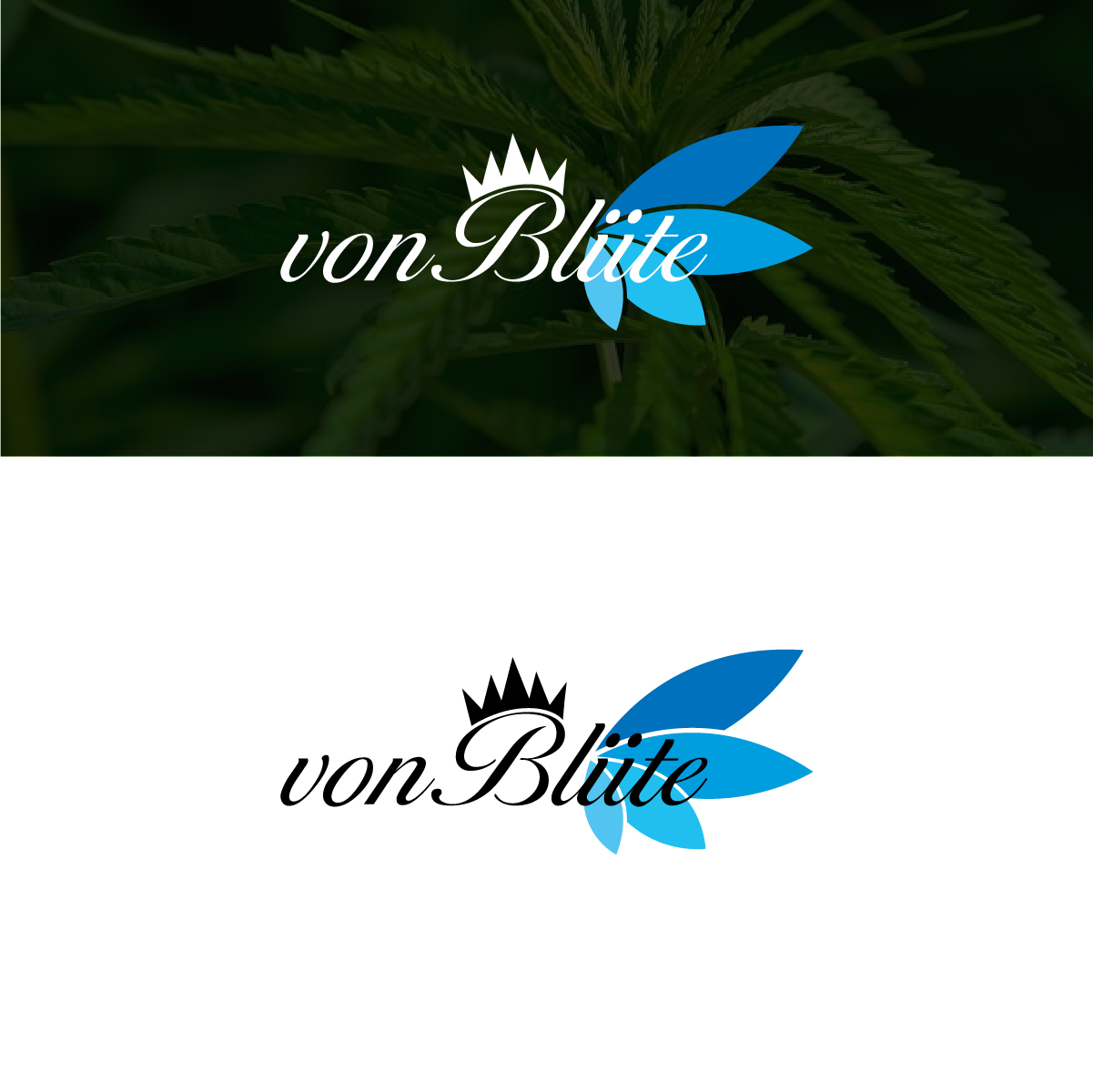 Logo Design by Deziners Zone for this project | Design #22895786