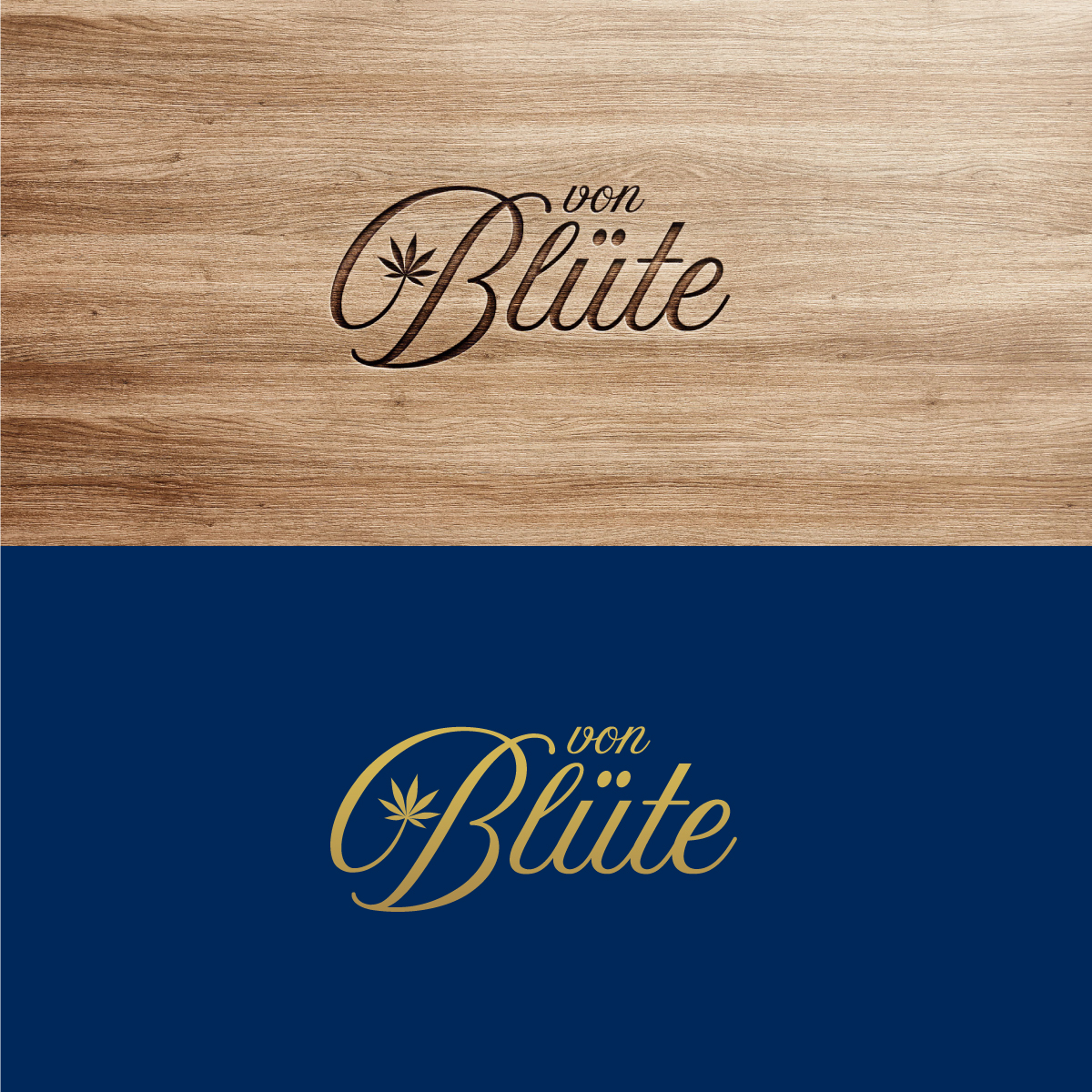 Logo Design by Designed™ for this project | Design #22919180