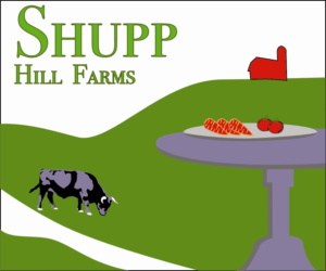 Logo Design by Catherine Arnold