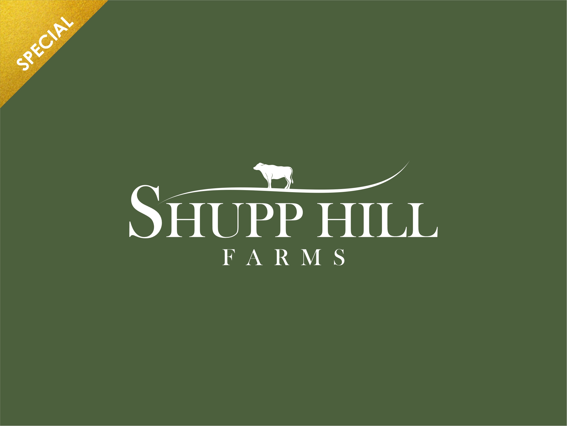 Logo Design by dandiyunanto14 for this project | Design #22959319