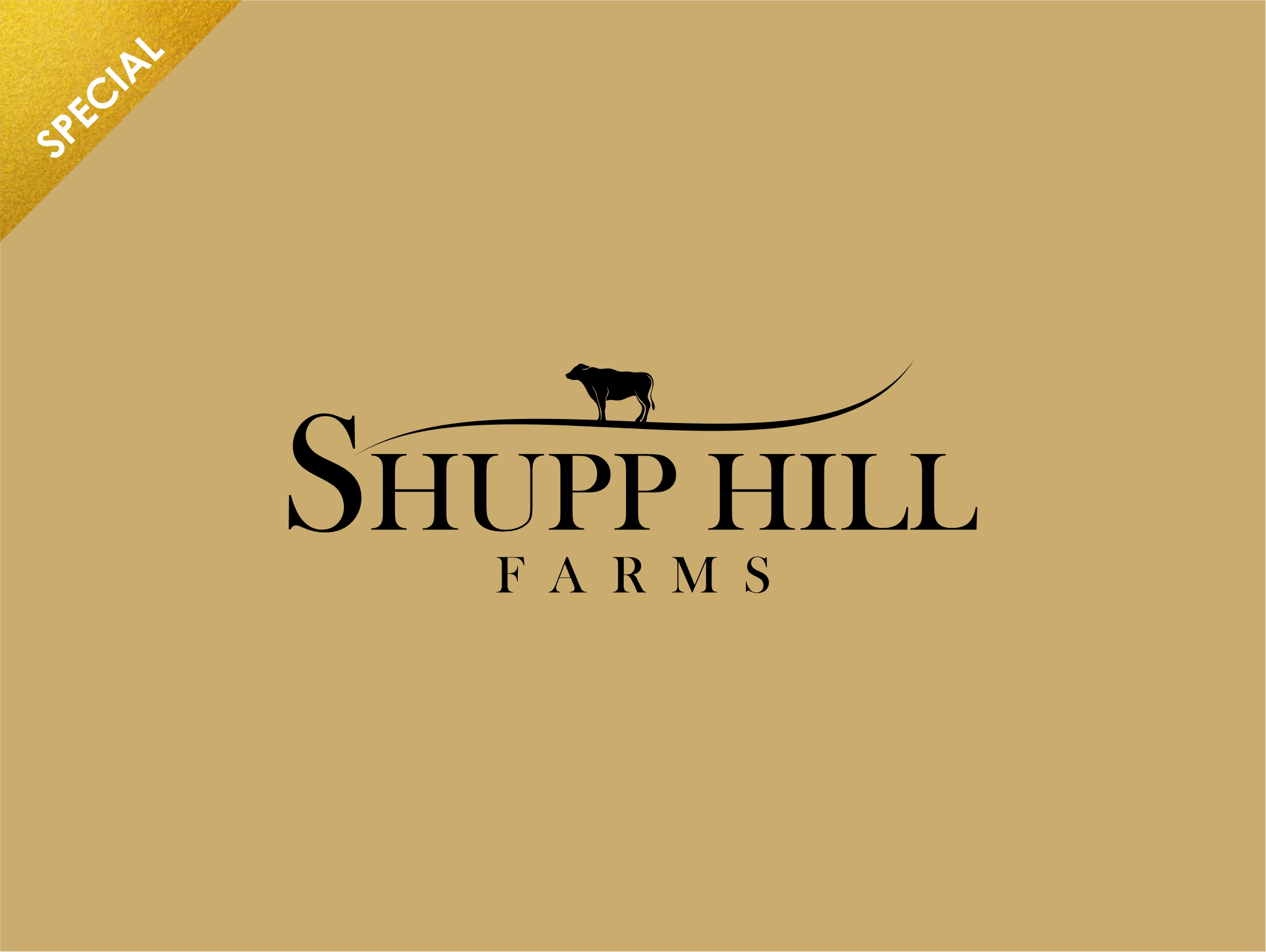 Logo Design by dandiyunanto14 for this project | Design #22959321