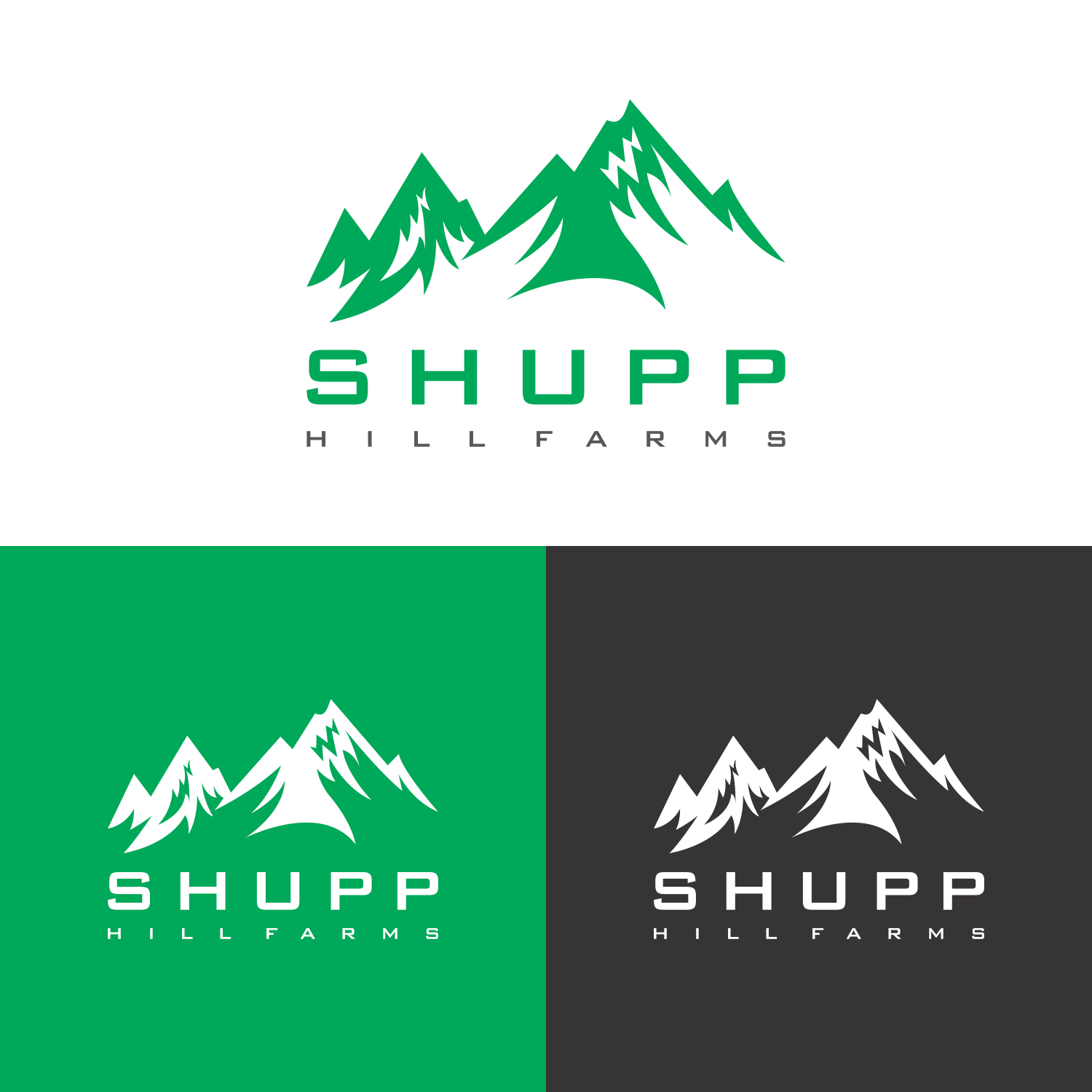 Logo Design by bajingan for this project | Design #22918195