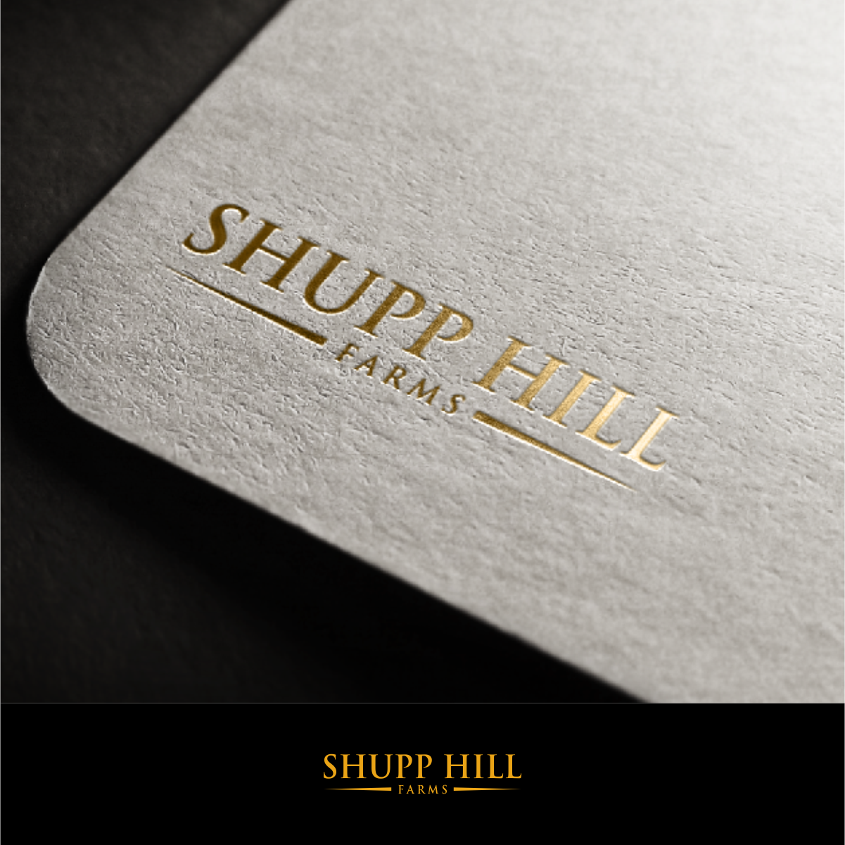 Logo Design by adie soesanto for this project | Design #22910739