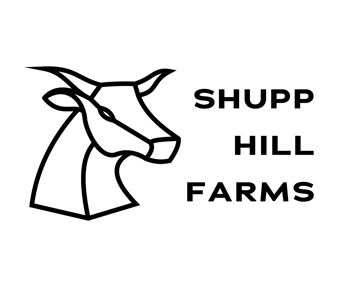 Logo Design by Incorrect2269 for this project | Design #22941804