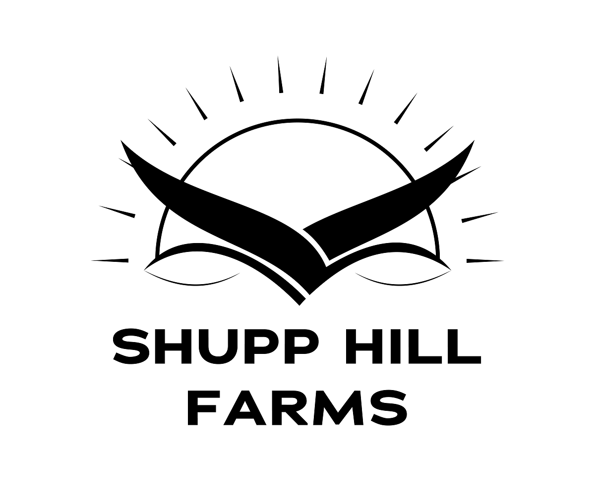 Logo Design by Incorrect2269 for this project | Design #22941808