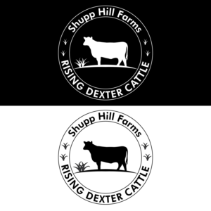 Logo Design by DesevoBD