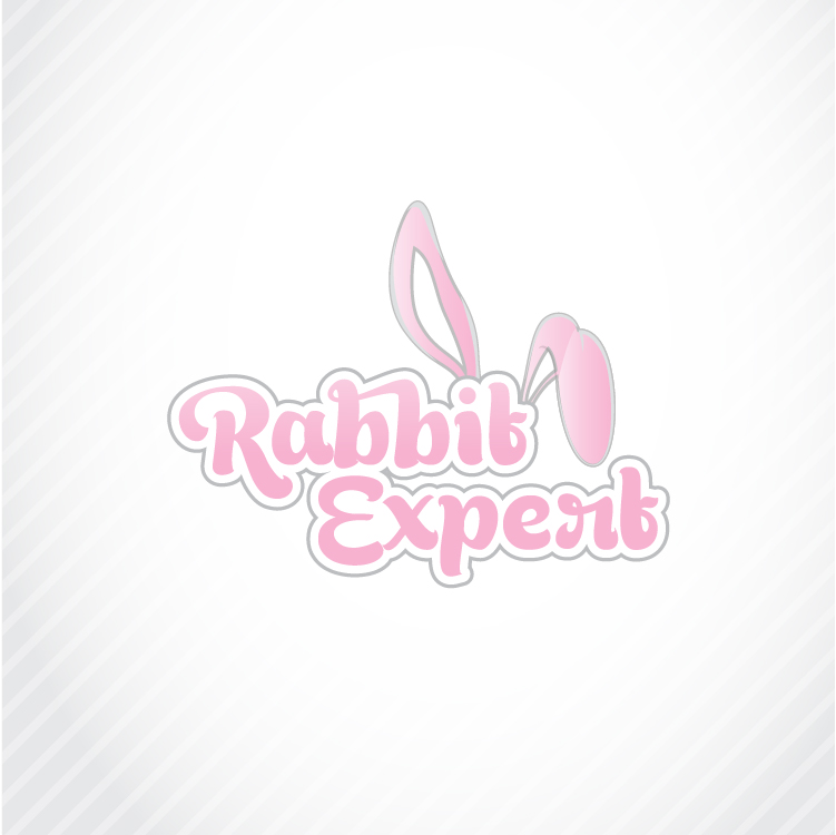Logo Design by ShakiJav for this project | Design #22923649