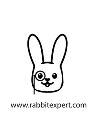 Logo Design by Malice Art
