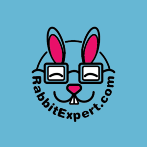 Logo Design by NikkyDoodles