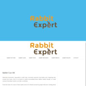 Logo Design by FaniNur