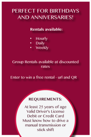 Design de Flyer par rachael.meek pour Houston Slingshot Rental | Design : #22910048