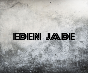 Logo Design by Sienna Miller for Livewire studios inc | Design: #22908441