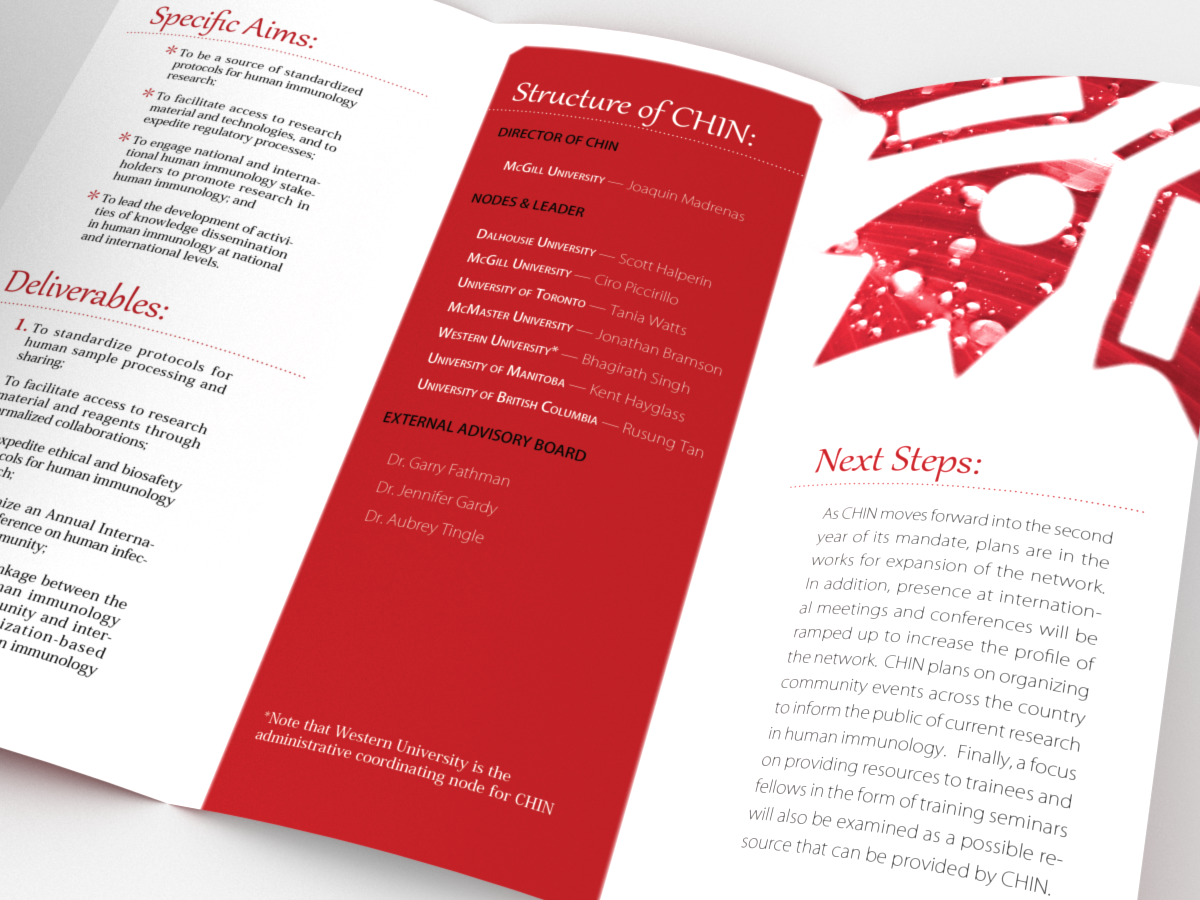 Design de Brochure par Bogi pour ce projet | Design #724260