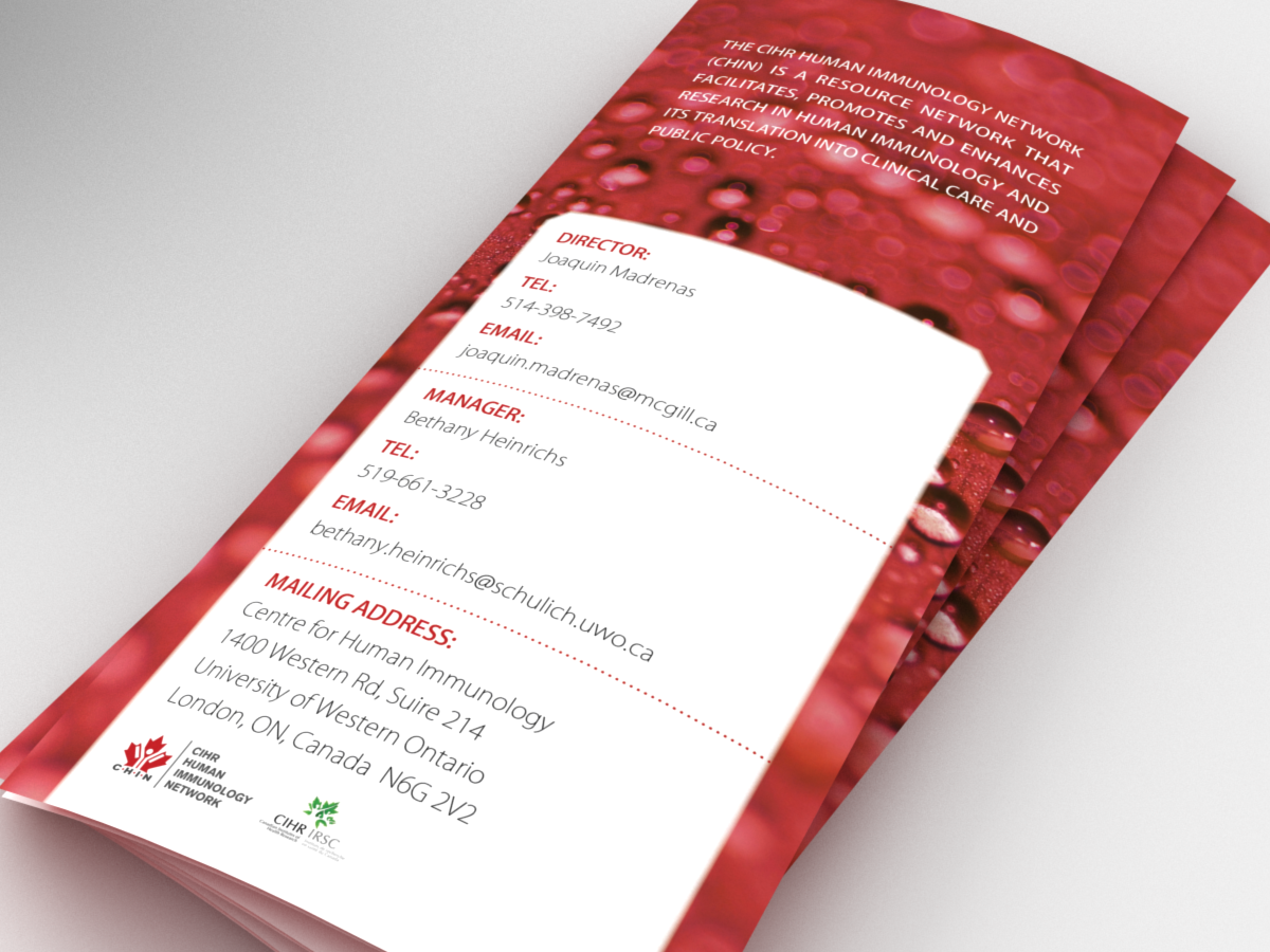 Brochure Design by Bogi for this project | Design #724261