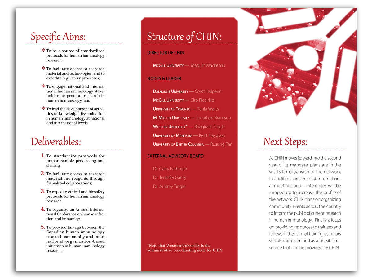 Design de Brochure par Bogi pour ce projet | Design #724267